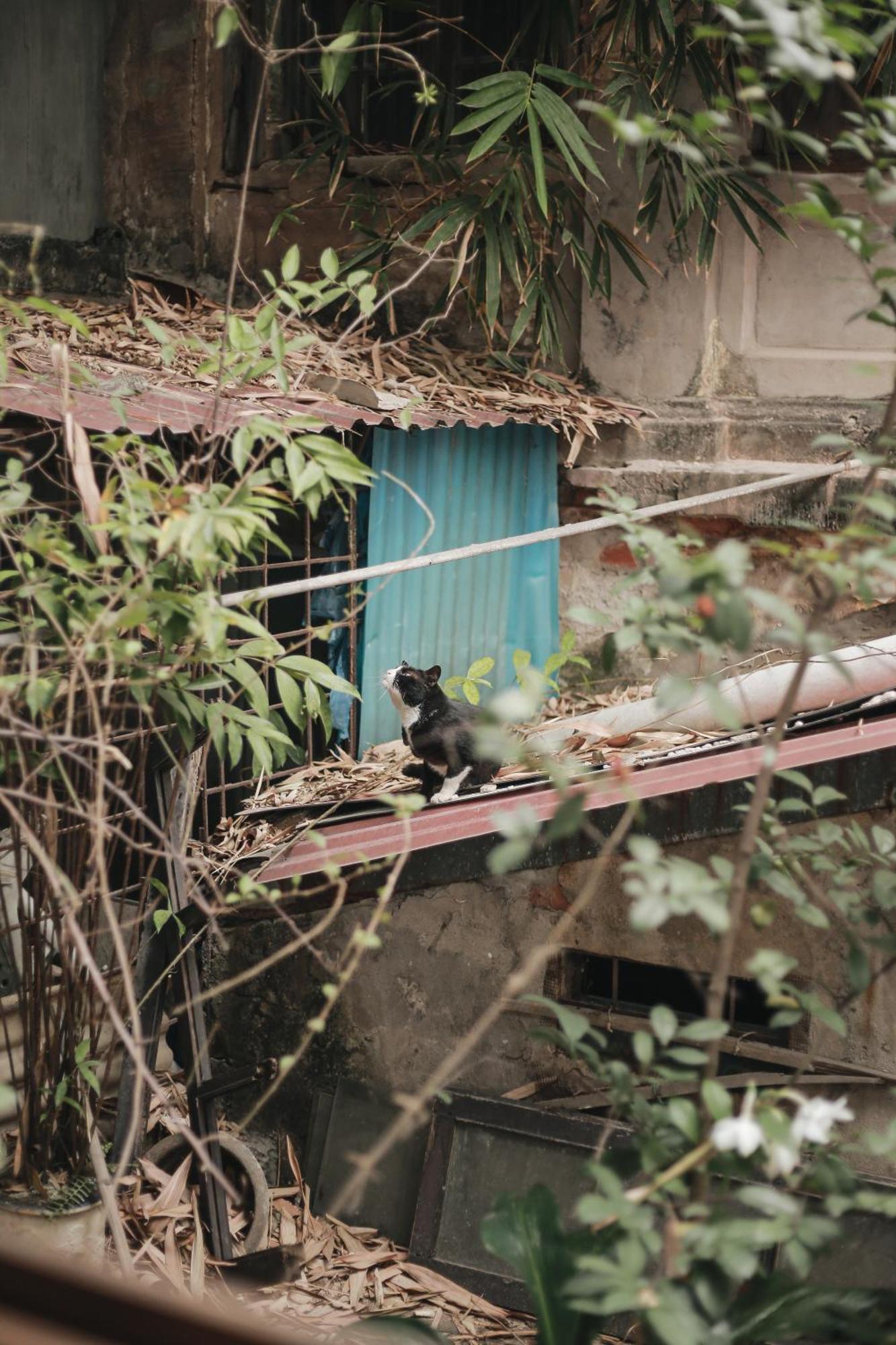 Hidden Gem Homestay 2 Hanoi Exterior foto